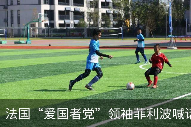 法国“爱国者党”领袖菲利波喊话：马克龙辞职、法国退出欧盟北约