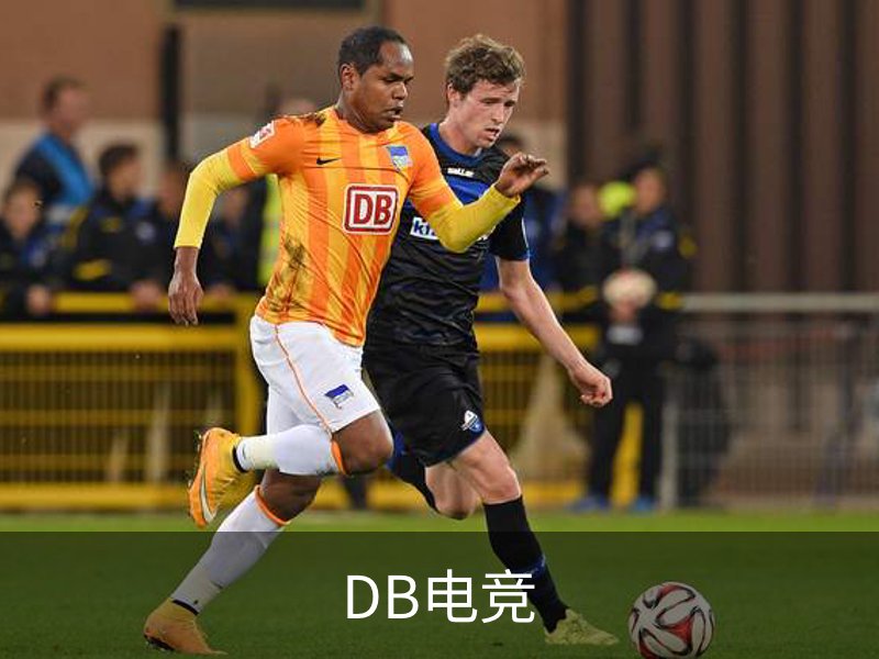 企业介绍